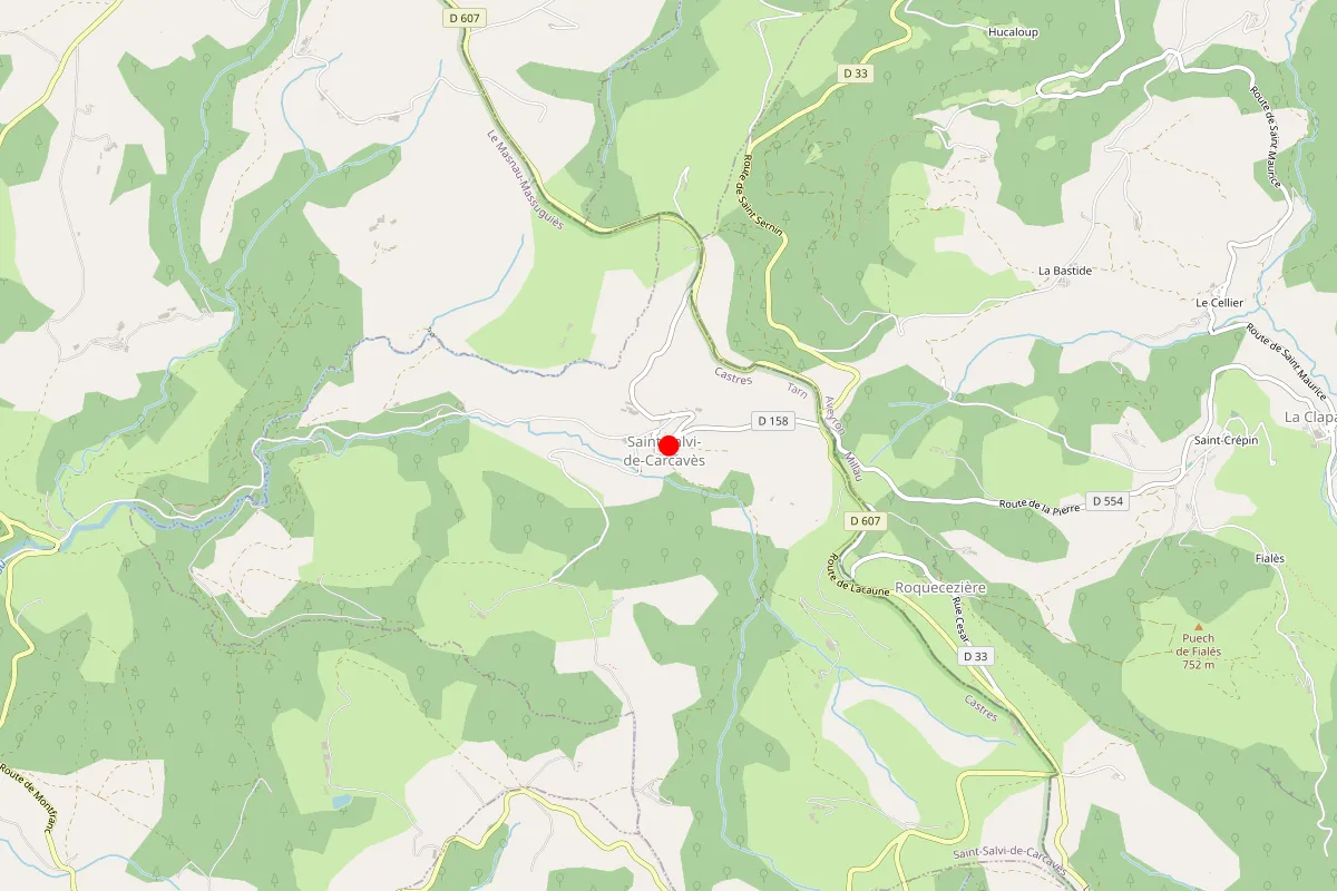 Plombier sur Saint Salvi De Carcaves