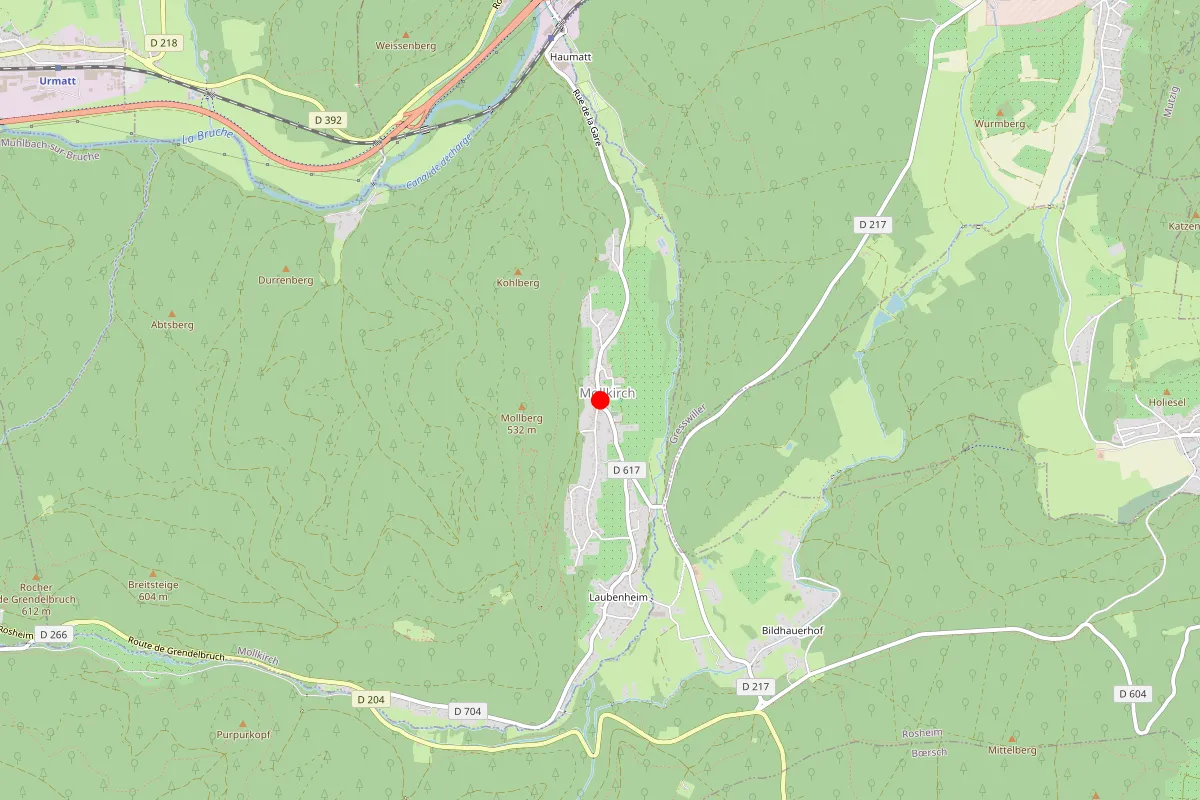Serrurier sur Mollkirch