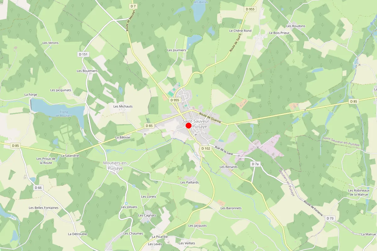 Serrurier SERSYS sur Saint Sauveur En Puisaye
